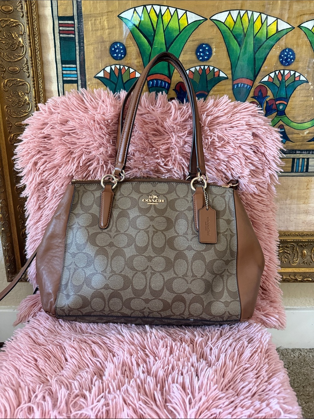 Coach Brown Signature Tote